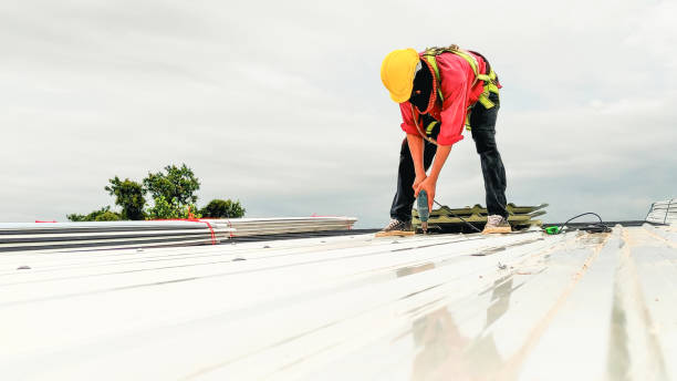 Best Roof Insulation Installation  in Wolcottville, IN